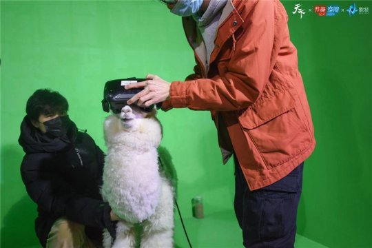 拓拓尽显高手风范