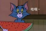 ֻڰSLGԼ۱ȹھ