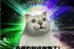ȫ12װλֱӳ׹ɶ